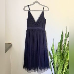Express Navy Tulle Dress